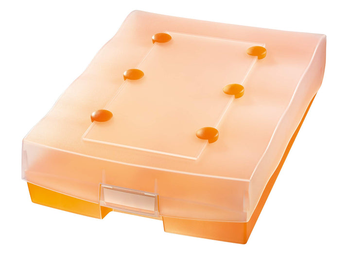 HAN Archivbox CROCO DUO, einfach Vokabeln lernen mit 5-Fächer-Lernsystem, DIN A8 Karteikasten für220