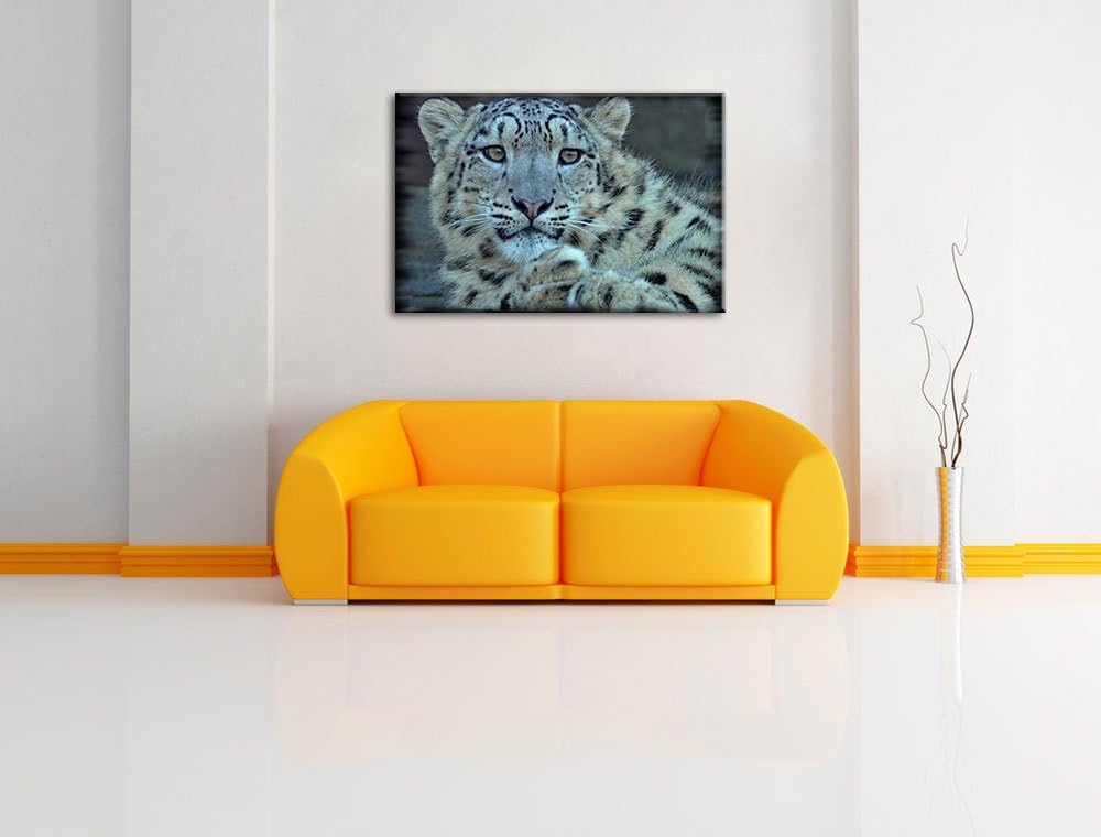 Pixxprint scheuer Schneeleopard auf Leinwand, XXL riesige Bilder fertig gerahmt mit Keilrahmen, Kuns