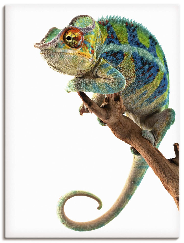 ARTland Leinwandbilder Wandbild Bild auf Leinwand 60x80 cm Tiere Reptilien Chamäleon Madagaskar Zoot