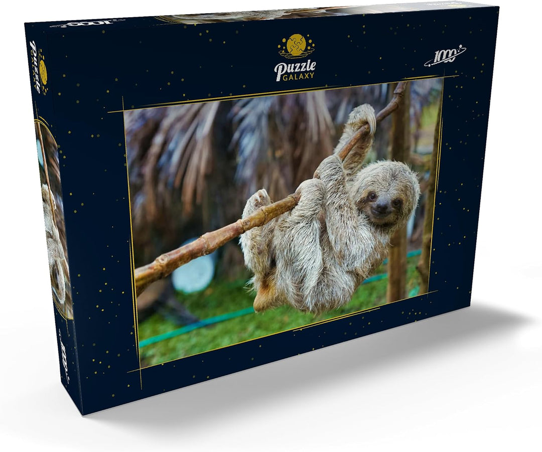 Faultiere im San Jose Rettungszentrum, Costa Rica - Premium 1000 Teile Puzzle - MyPuzzle Sonderkolle