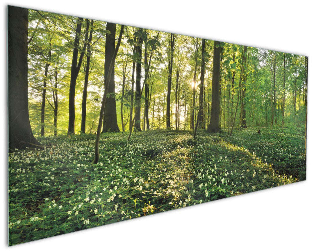 Wallario Küchen-Rückwand | Küchenspiegel Waldanemonen und Sonnenstrahlen im Wald in Premium-Qualität
