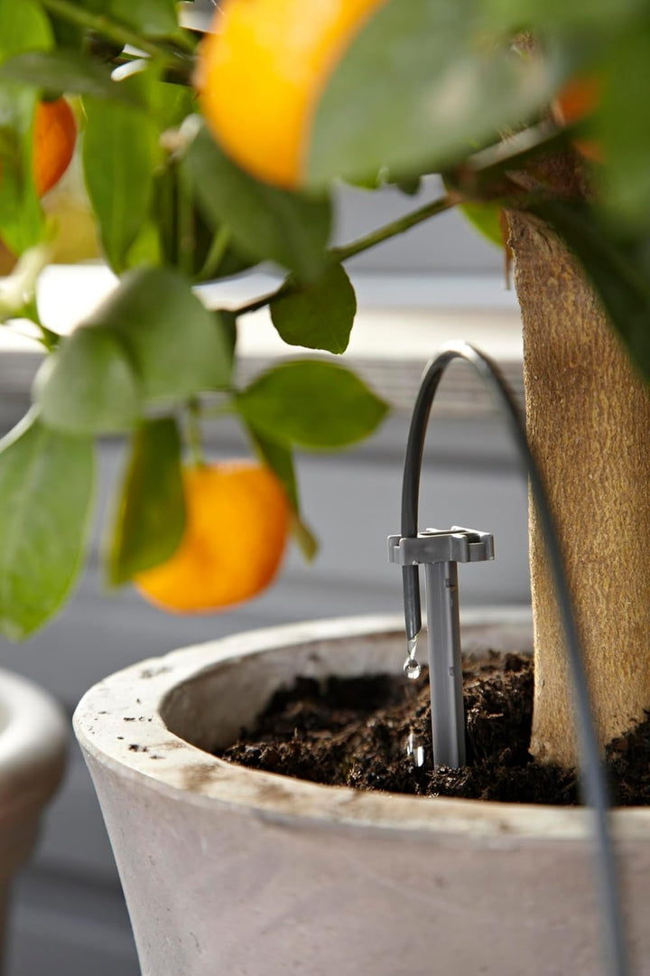 Gardena city gardening Urlaubsbewässerung: Pflanzenbewässerungs-Set für drinnen und draussen, indivi