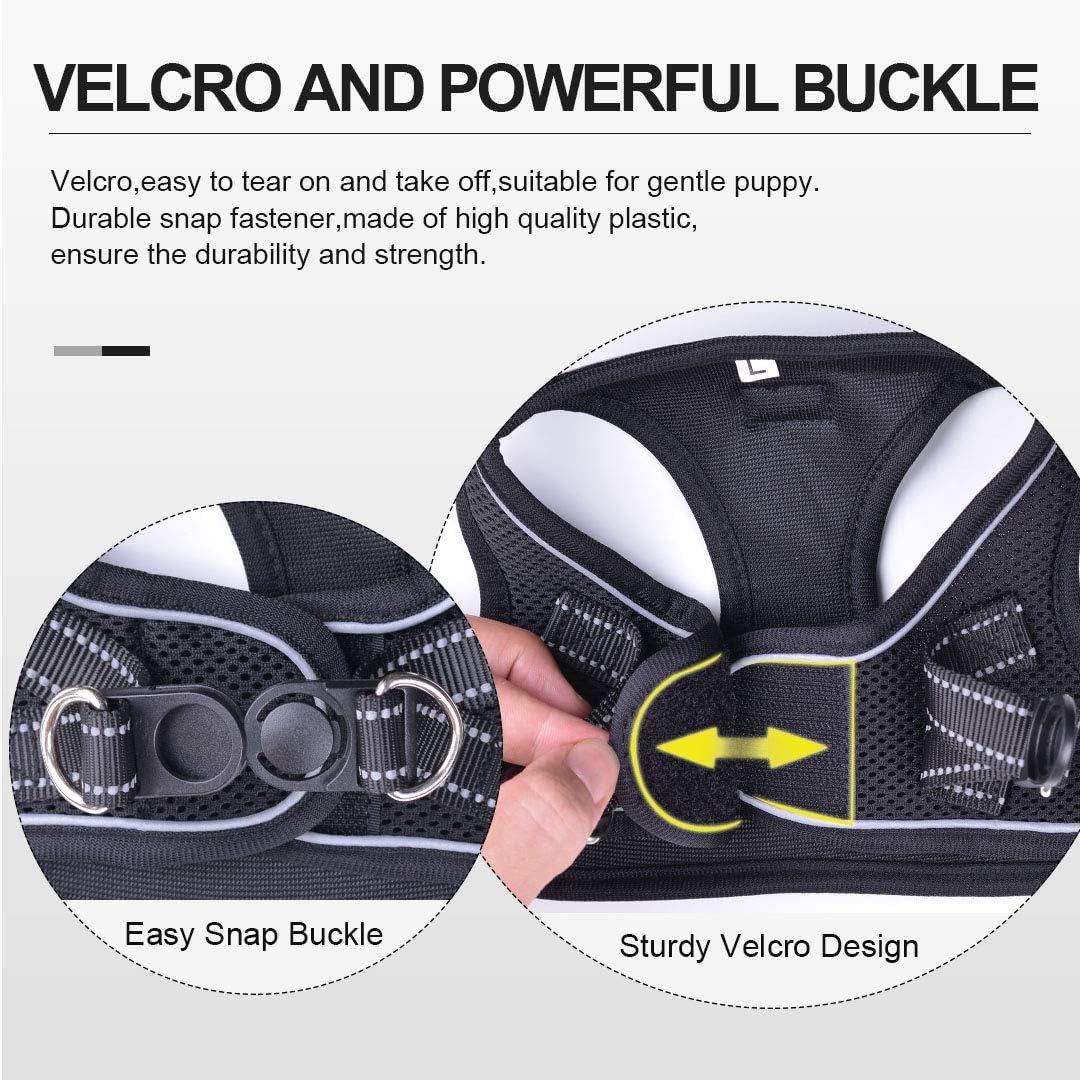 Suredoo Hundegeschirr mit Leine Anti Zug Geschirr Reflektierend Brustgeschirr für Kleine Hunde, Haus