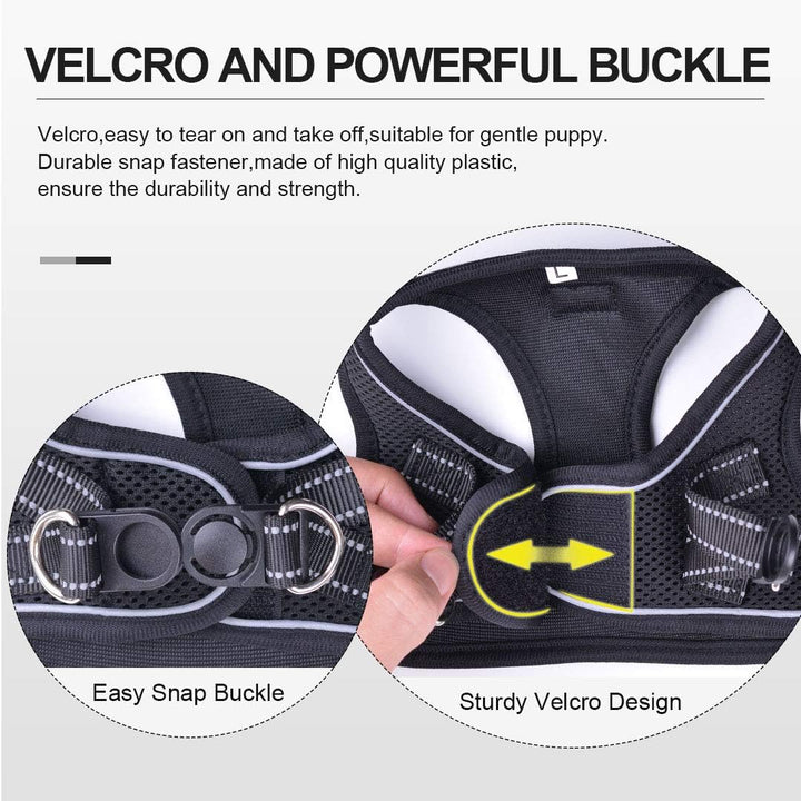 Suredoo Hundegeschirr mit Leine Anti Zug Geschirr Reflektierend Brustgeschirr für Kleine Hunde, Haus