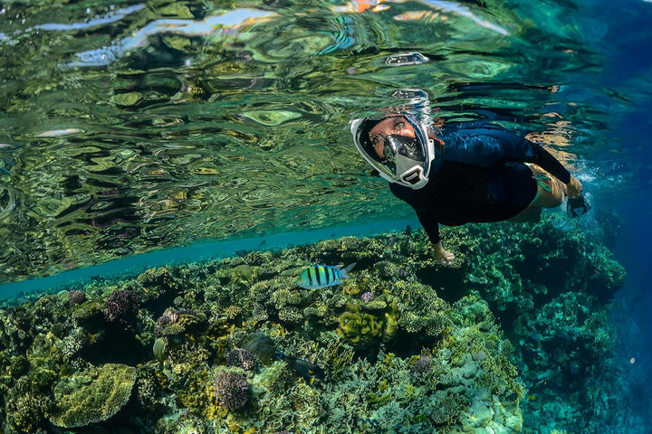 OCEAN REEF - Aria QR + Schnorchelmaske - Vollmaske mit Mundstück - Für eine bessere 180 Grad Unterwa
