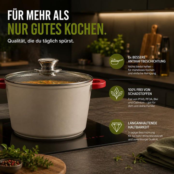 Royal Swiss® Suppentopf Ø24 cm – 6,2 L mit Glasdeckel – Edelstahl & Antihaftbeschichtung – Abnehmbar