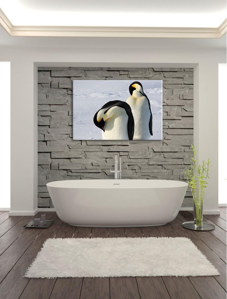 zwei Kaiserpinguine beim Putzen Leinwand, XXL riesige Bilder fertig gerahmt mit Keilrahmen, Kunstdru
