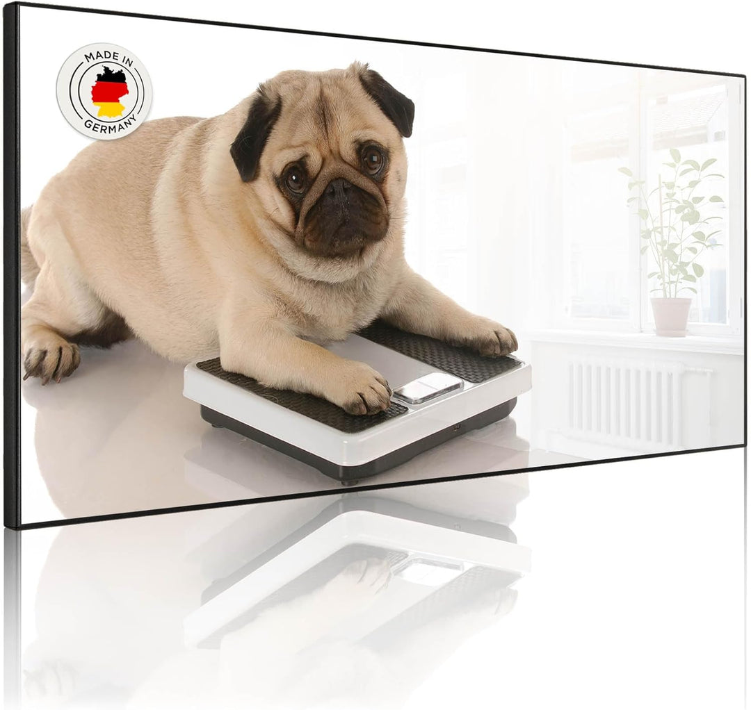 banjado Magnettafel schwarz 78 x 37cm / Magnetwand Metall/Magnetpinnwand als Memoboard/Pinnwand Magn