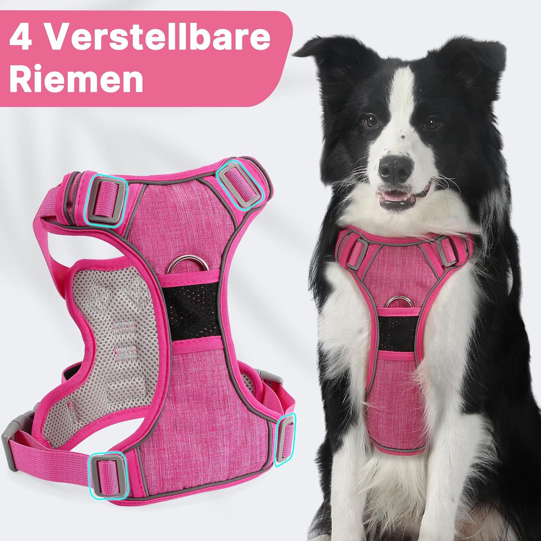 Demigreat Mittleres Hundegeschirr, Anti-Zug-Hundegeschirr mit Weich Gepolstertem Griff für das Train