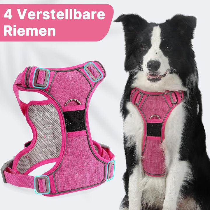 Demigreat Mittleres Hundegeschirr, Anti-Zug-Hundegeschirr mit Weich Gepolstertem Griff für das Train