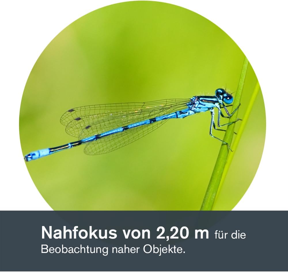 Celestron 71404 TrailSeeker 8 x 42mm Dachkantgläser mit dielektrisch beschichteter Linse, BaK-4-Pris