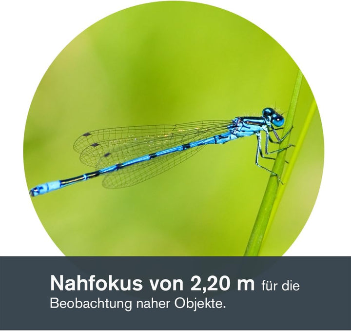 Celestron 71404 TrailSeeker 8 x 42mm Dachkantgläser mit dielektrisch beschichteter Linse, BaK-4-Pris