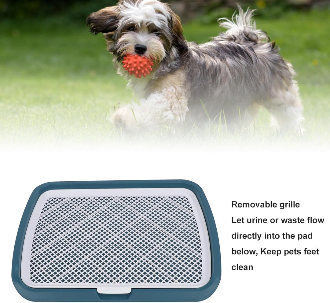 GLOGLOW Hundetoilette mit Gitter für Welpen, Abnehmbare Trainingsschale, 50 x 66 x 5 cm, Blau BLUE,