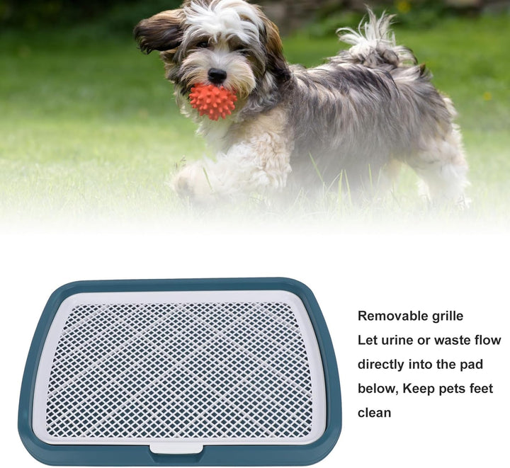 GLOGLOW Hundetoilette mit Gitter für Welpen, Abnehmbare Trainingsschale, 50 x 66 x 5 cm, Blau BLUE,