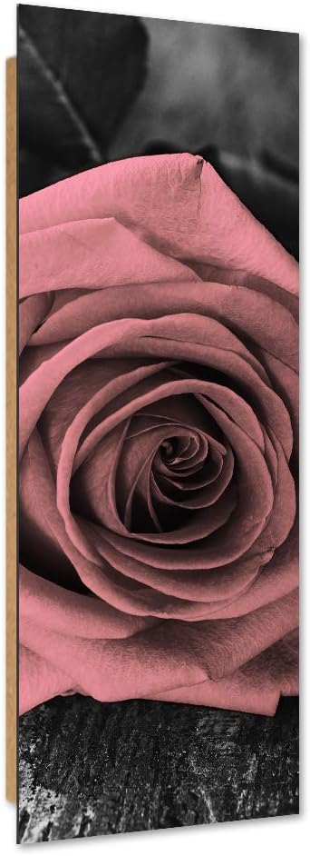 Feeby Wandbild XXL Rose Deko Kunst Bilder Blumen Rosa 60x150 cm Deko Paneel 60x150 cm Rosa_c, Deko P