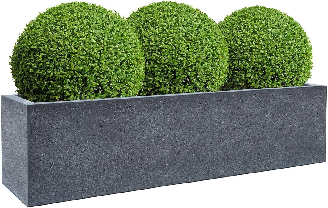ESCHBACH® Pflanzkübel Box 80 II Blei Grau Rechteckig * 80 x 20 x 20 cm * 10 Jahre Garantie 80x20x20,