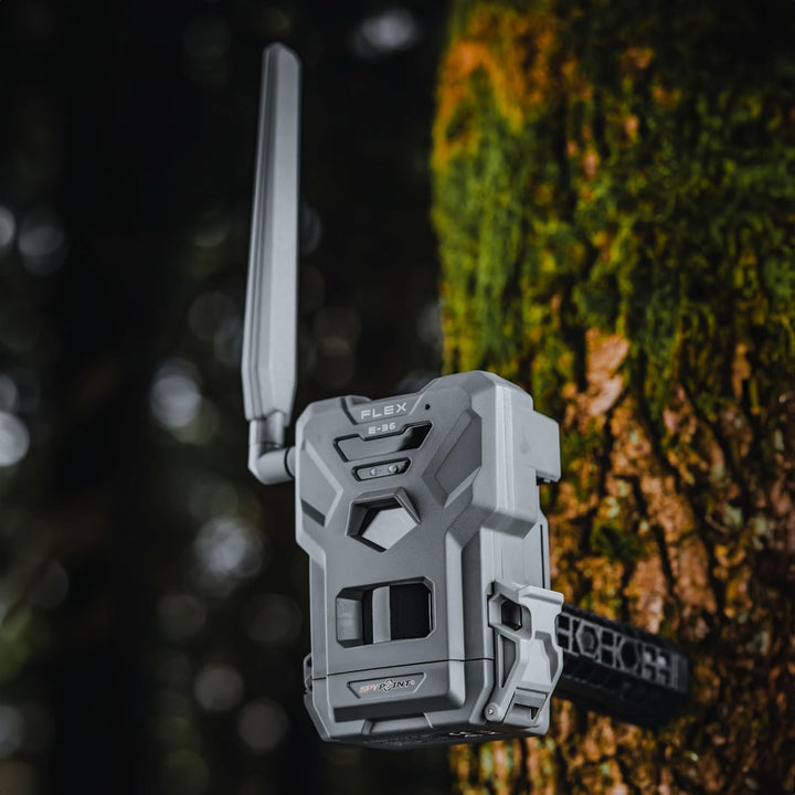 SPYPOINT Flex E-36: Wildkamera mit Videoübertragungen, inkl. SIM-Karte, 16GB SD-Karte und Batterien,