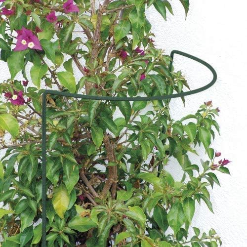 Pflanzenstütze 3er-Set Strauch- &amp; Staudenstütze Metall 70 cm hoch | Blumenstütze halbrund, rostfrei,