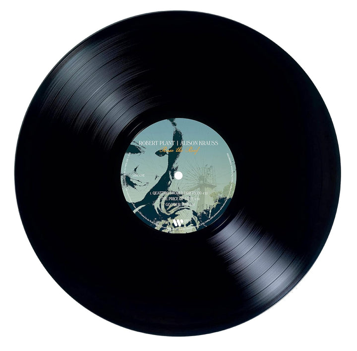 Raise the Roof [Vinyl LP], Vinyl