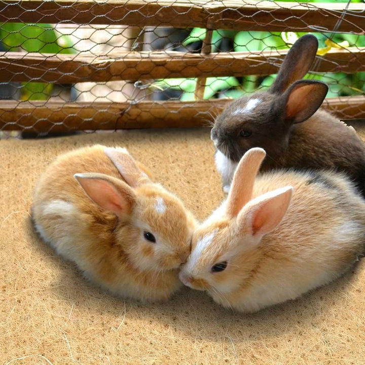 La cordeline Teppich für Nagetiere, Hanf, 50 cm x 2 m, für Kaninchen, Meerschweinchen, Natur