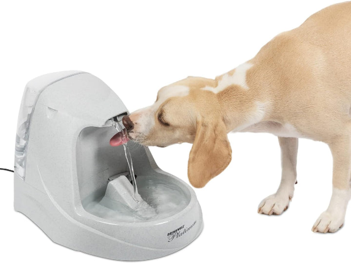 PetSafe - Drinkwell Platinum Wasserbrunnen für Hunde und Katzen, 5 l, Wasserspender für Haustiere, e