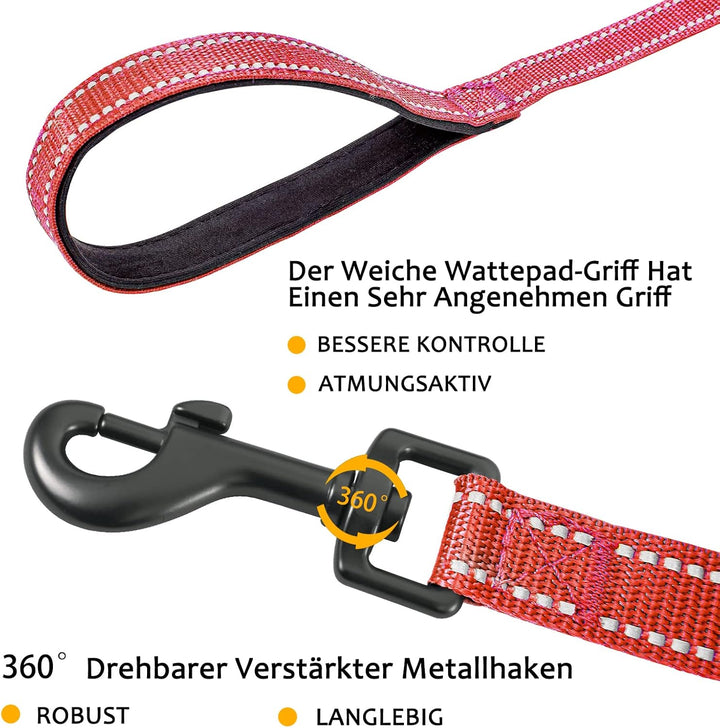 Demigreat Schleppleine für Hunde, 3m / 5m / 10m / 15m / 20m Robuste Lange Hundeleine Reflektierend T