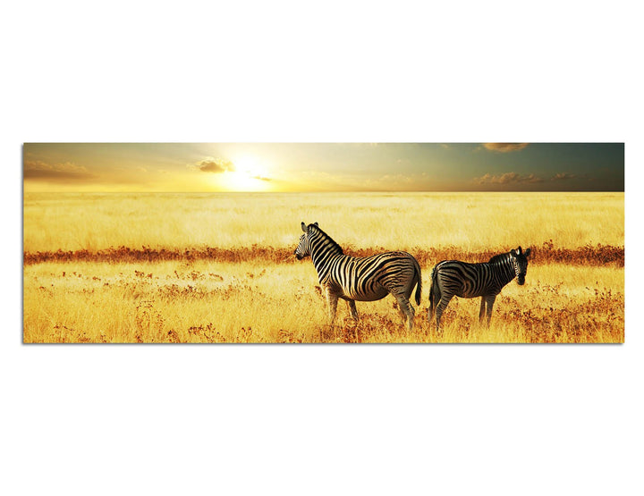 Paul Sinus Art Panoramabild auf Leinwand und Keilrahmen 150x50cm Afrika Zebras Wiese Sonnenuntergang