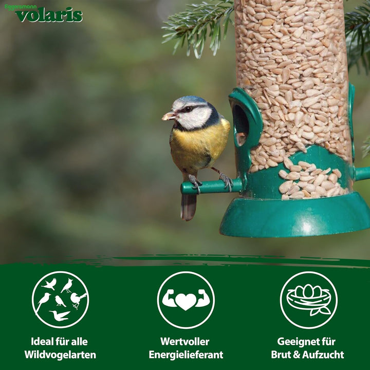Eggersmann volaris Sonnenblumenkerne Vogelfutter 2,5kg [geschält] – Hochwertiges Vogelfutter Wildvög
