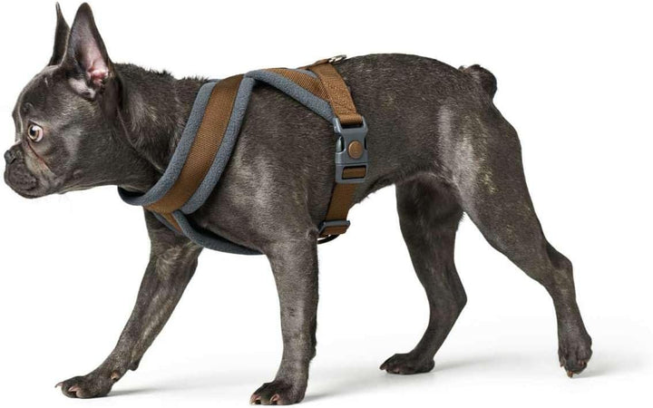 HUNTER Hundegeschirr LONDON COMFORT, atmungsaktives 3D-Mesh, 2-fach verstellbar, Sicherheitsverschlu