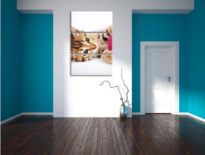 Pixxprint Kätzchen mit Wollknäuel als Leinwandbild/Grösse: 3 Teilig (120x80) cm/Wandbild/Kunstdruck/