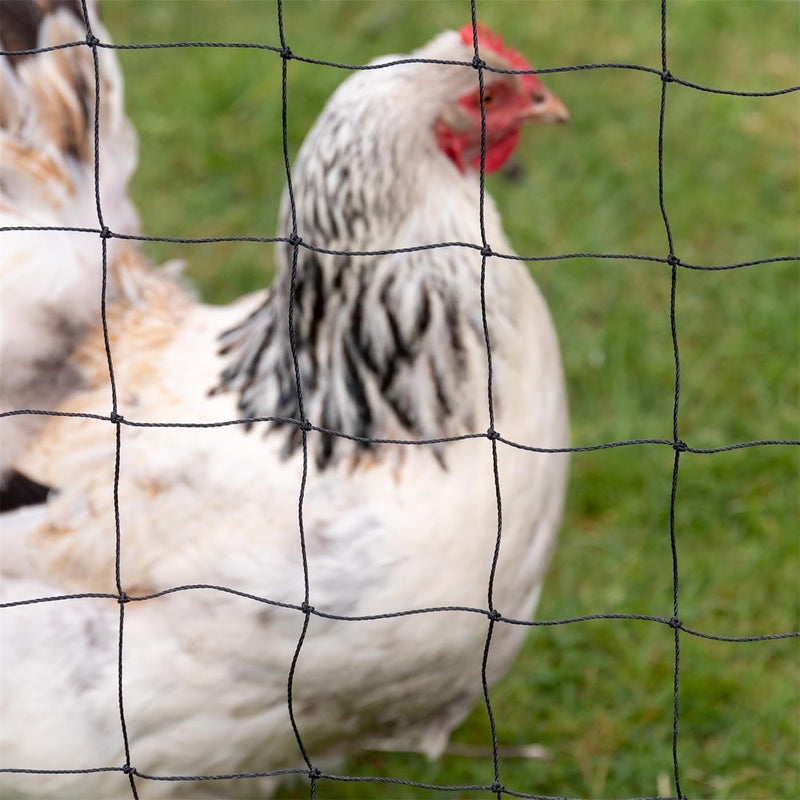 VOSS.farming 5 x 5m Geflügelschutznetz, Abdecknetz, Teichnetz, Vogelschutznetz, schwarz, Volieren Ne