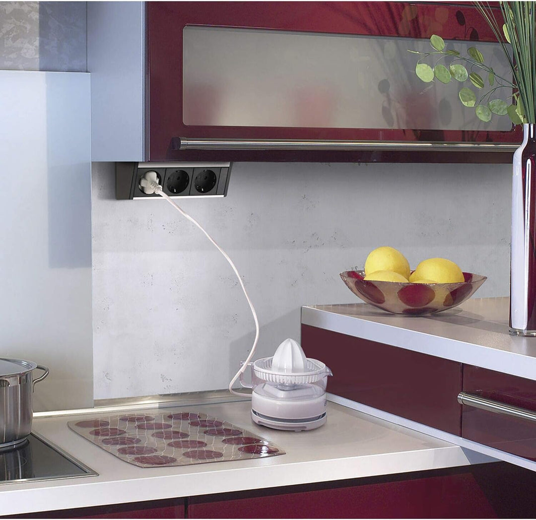 EVOline 159800015000 Steckdosenelement R-Dock 3 x Schuko alufarbig, schwarz 3x Schuko, alufarbig, 3x