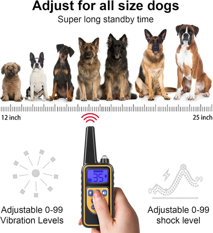 Generisch EAgility-Ausrüstung für das Hundetraining,Die Trainingseinrichtungen,2025 Hilfsmittel zur