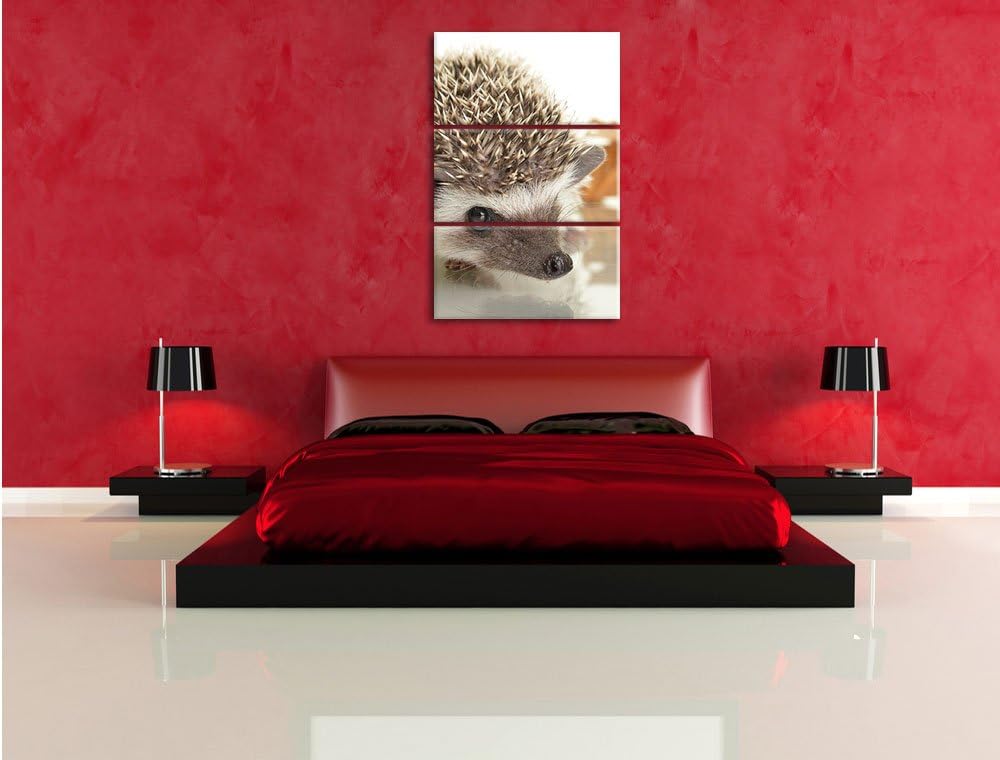 Pixxprint Süsser Igel 3-Teiler Leinwandbild 120x80 Bild auf Leinwand,