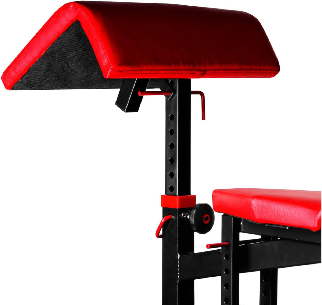 Scottbank Curlbank verstellbar Bizepsbank für Kelton- Bank Curlpult Ablage HZ6