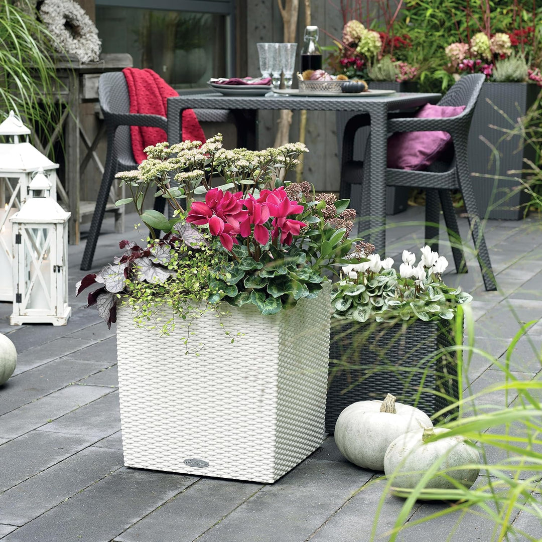 LECHUZA CUBE Cottage 50 weiss 15390 Pflanzgefäss mit Erd-Bewässerungs-System 49x49x49,5 cm Weiss, Pf
