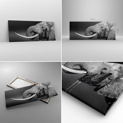 Panorama Bilder auf Leinwand 100x40cm Leinwandbild Elefant Stosszahn Natur Gross Wanddeko Bild Schla