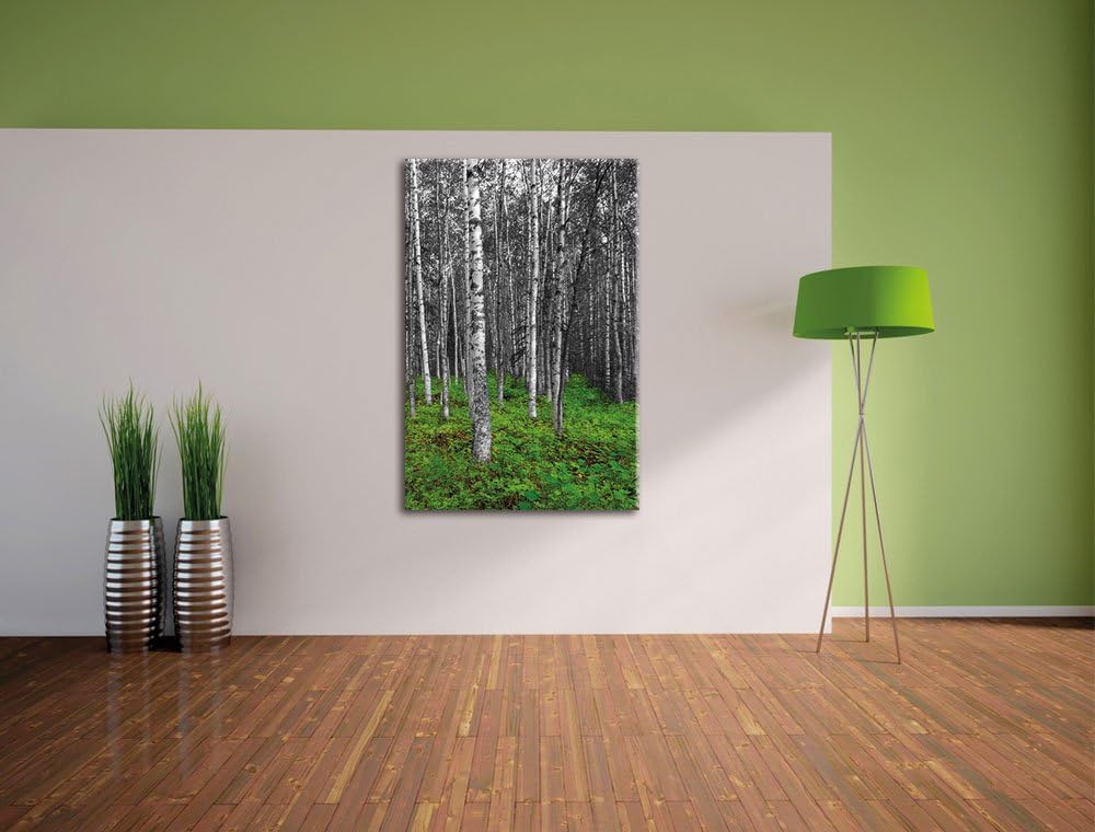 Pixxprint Kleiner ansehnlicher Birkenwald als Leinwandbild/Grösse: 120x80 / Wandbild/Kunstdruck/fert
