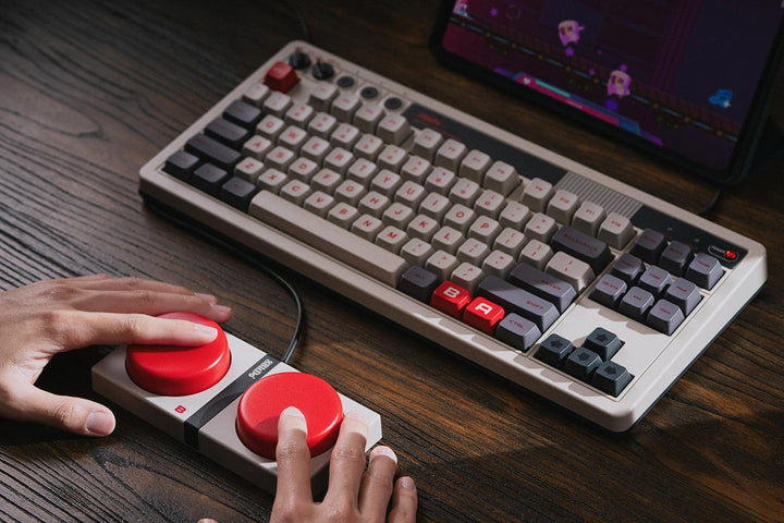 8Bitdo Retro Mechanical Keyboard, Bluetooth/2.4G/USB-C Hot Swappable Gaming Keyboard with 87 Keys, D