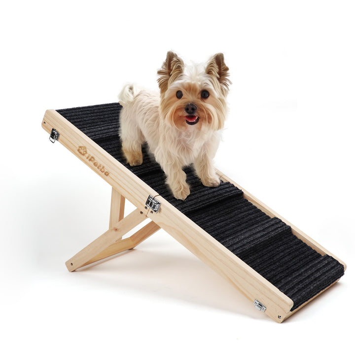 iPetba Hunderampe Sofa Bett für Kleine Hunde Klappbar Rampe Hund Katzen Einstellbar H24-47cm (bis zu