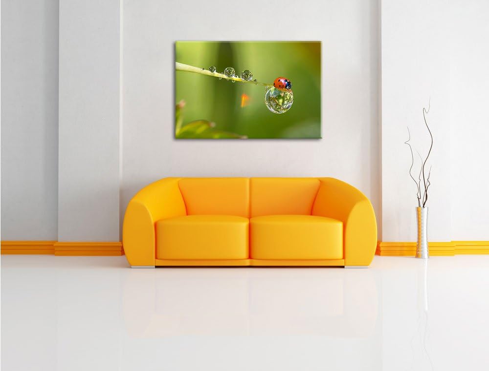 Pixxprint Marienkäfer Wassertropfen als Leinwandbild/Grösse: 100x70 cm/Wandbild/Kunstdruck/fertig be