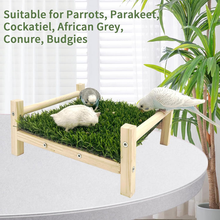 FlidRunest Vogelfutterbett, Papageien-Hängematten-Bett, Papageien-Gras-Sitzstange, Vogelsitzstange,