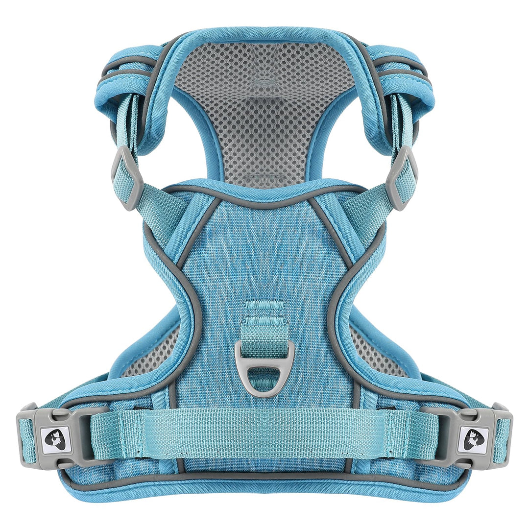 Demigreat Mittleres Hundegeschirr, Anti-Zug-Hundegeschirr mit Weich Gepolstertem Griff für das Train