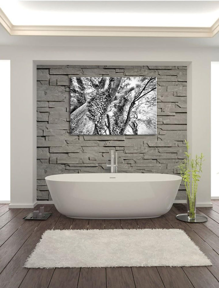 Pixxprint Baum im Sonnenlicht als Leinwandbild/Grösse: 100x70 / Wandbild/Kunstdruck/fertig bespannt,