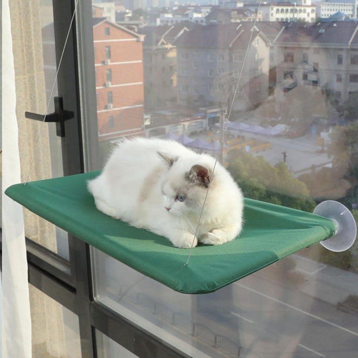 Katzen Hängematte Fensters, Katze Fensters Barsch Mits 4 Starken Saugnäpfen Platz Sparende Katzen Hä