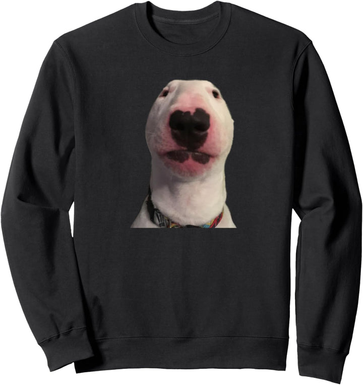 Walter Hund T-Shirt Meme Geschenk Sweatshirt