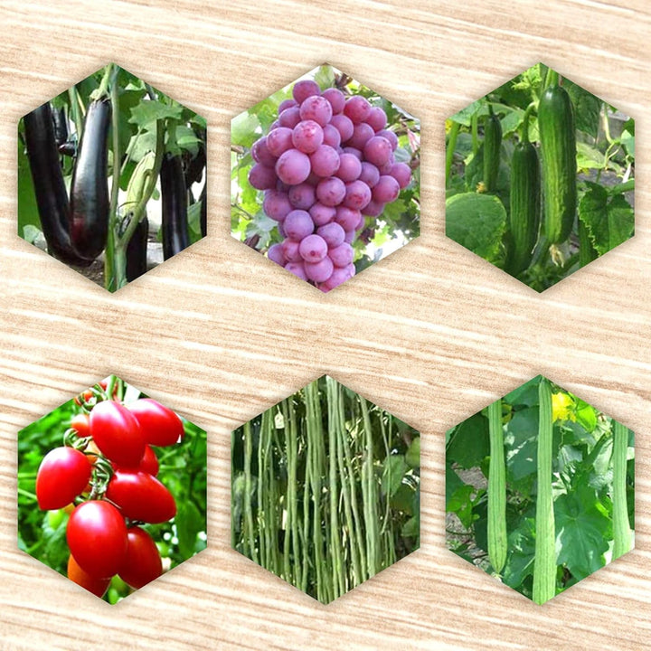 FISHTEC Bindezange – Gartenwerkzeug – zum Binden von Pflanzen, Zweigen, Weinen, Obstbäume, Gemüse, B