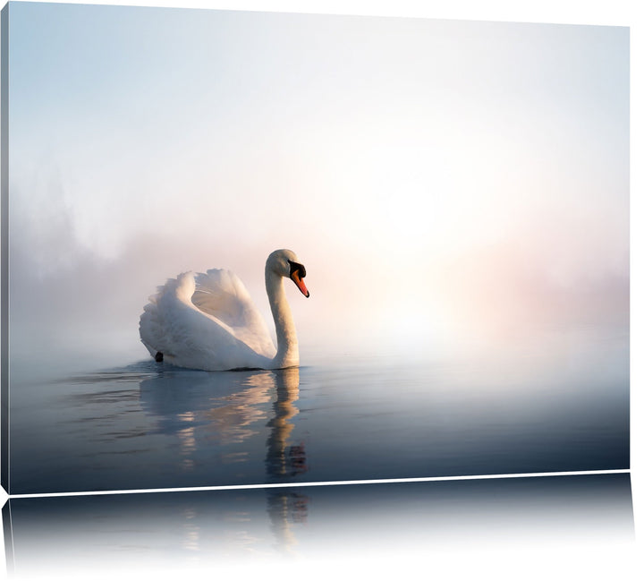 traumhafter weisser Schwan im See Format: 100x70 auf Leinwand, XXL riesige Bilder fertig gerahmt mit