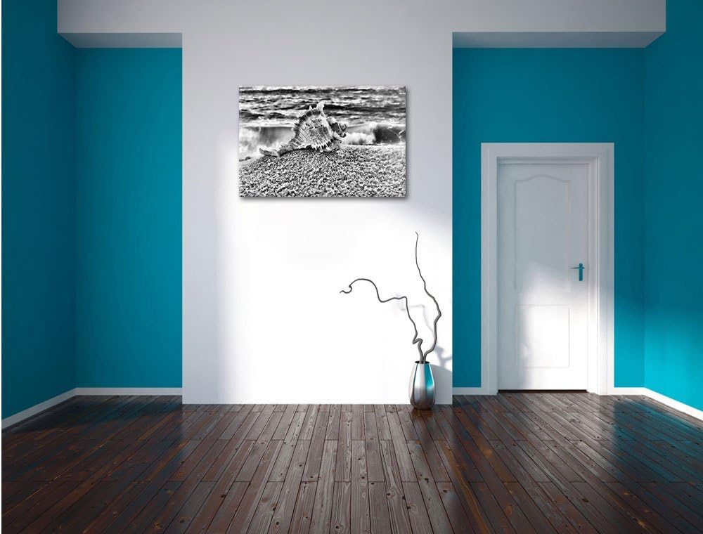 Pixxprint Muschel am Strand als Leinwandbild | Grösse: 100x70 cm | Wandbild | Kunstdruck | fertig be