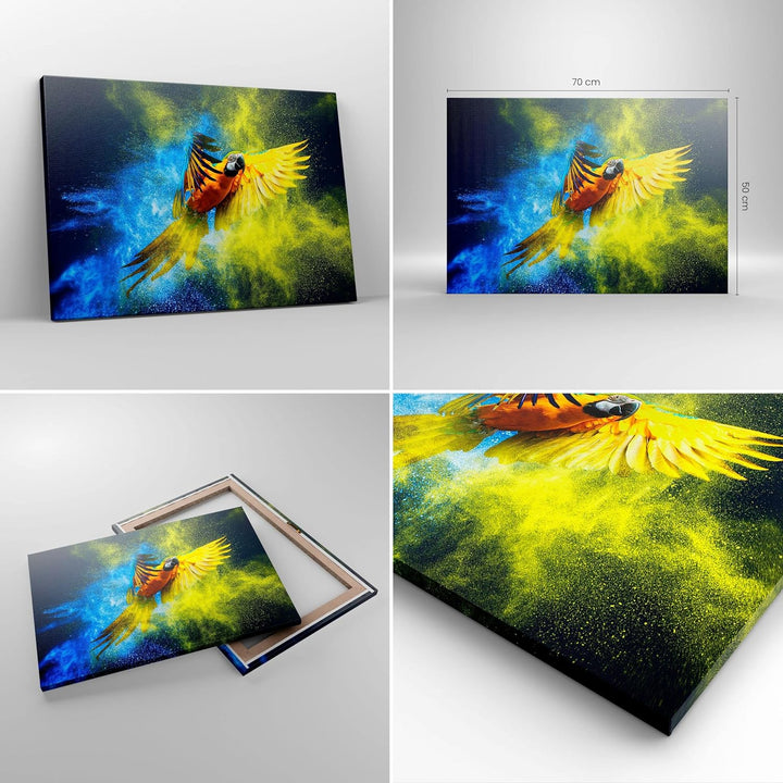 Bilder auf Leinwand Papagei Vogel Feder Leinwandbild mit Rahmen 70x50cm Wandbilder Dekoration Wohnzi